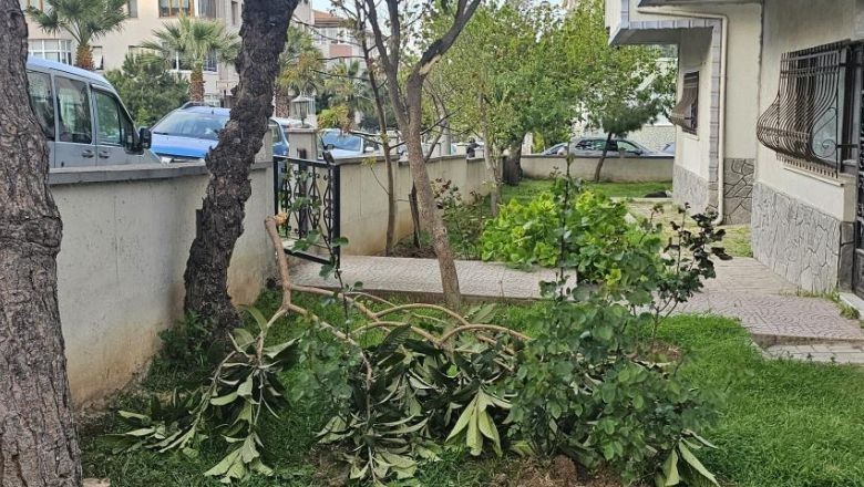 Bandırma’da Fırtına Etkisini Gösterdi