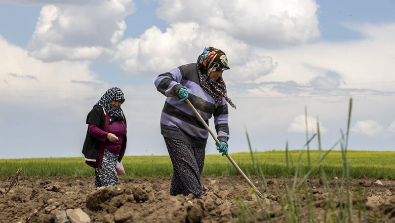Tarım Kredi’den Tarıma ve Sanayiye Güçlü Katkı