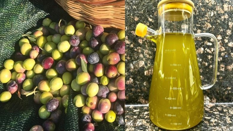 Başkan Diker: 'Marka Olmadan Rekabet Zor'