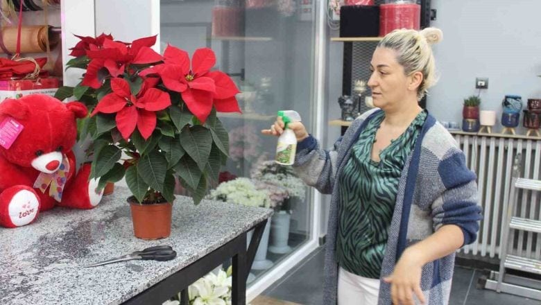 Balıkesir'de Bahar İçin Çiçek Bakımı