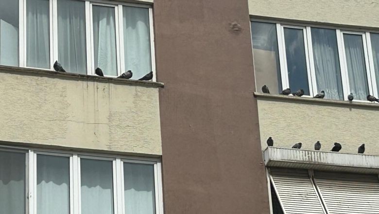 Balıkesir'in Pencere Nöbetçileri