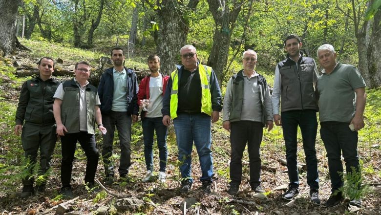 Kestane Ormanlarında Biyolojik Mücadele Başladı!