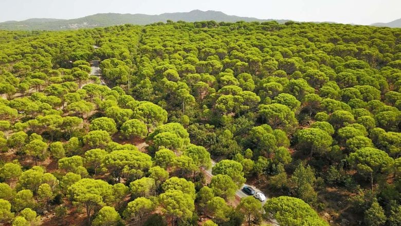 Yazın Sıcaktan Kaçış Noktası: Kozak Yaylası