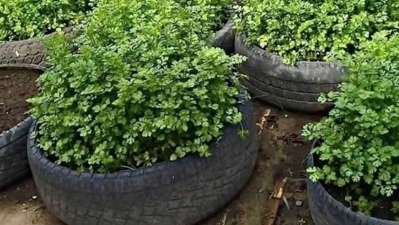 Balıkesir'de Mayıs Ayı Bahçe Bakımı