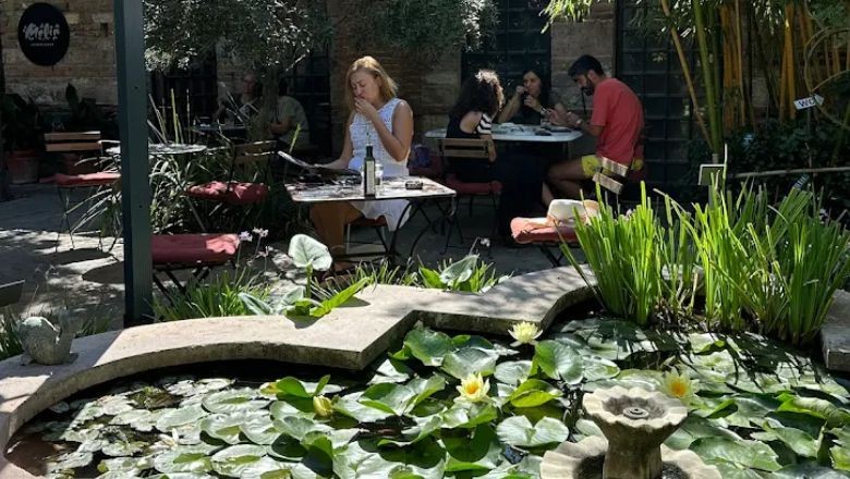 Balıkesir'de Bu Kafede 65 Bitki Türü Saklı!