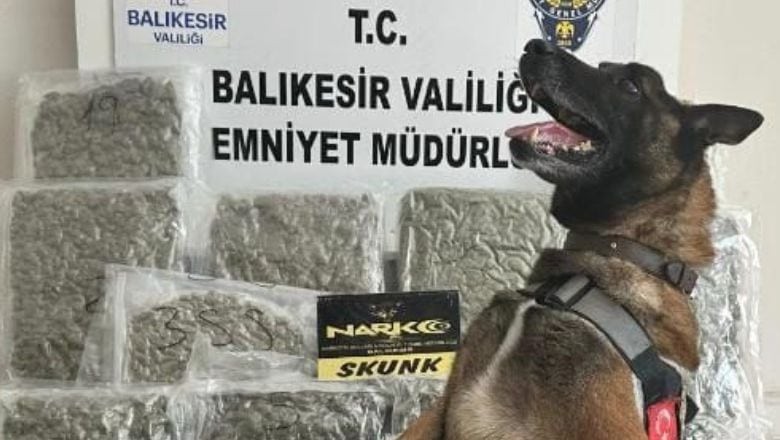 “YAŞA” Dedi, Skunk’u Yakaladı! Balıkesir’de Uyuşturucuya Burun Operasyonu
