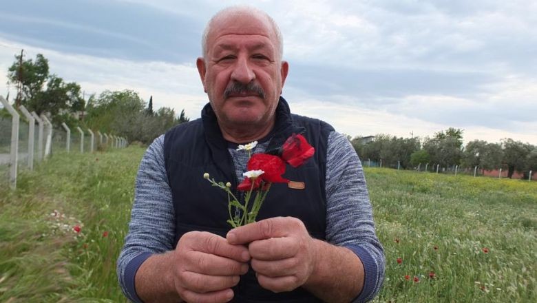 Burhaniye'de Kırlar Baharla Canlandı