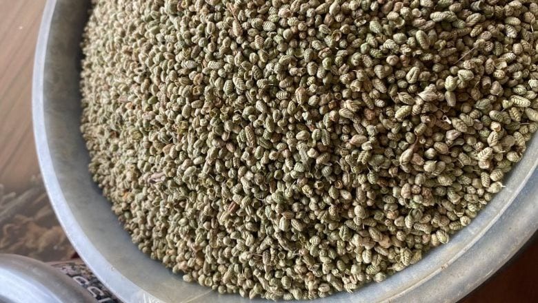 Balıkesir'in Köylerinden Çıkan Şifa: Kekik