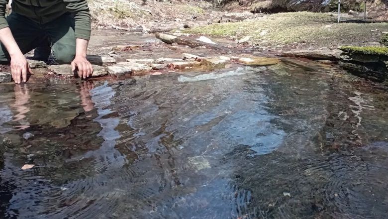 Kazdağı Dalak Suyu'na Nasıl Gidilir?