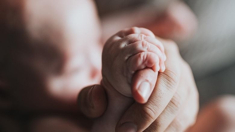 2025'te Süt Parası Ne Kadar Oldu?