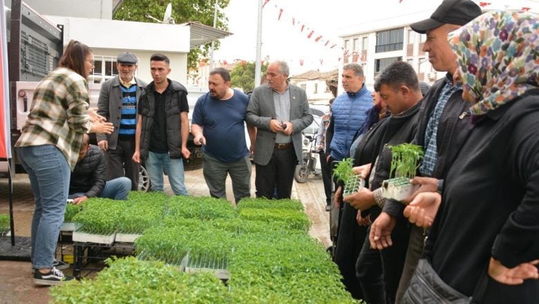 Balıkesir'de Çiftçiye Fide Desteği
