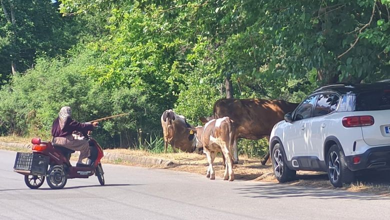 Motosikletli Hacı Teyze Dağların Kraliçesi Gibi Geziyor!