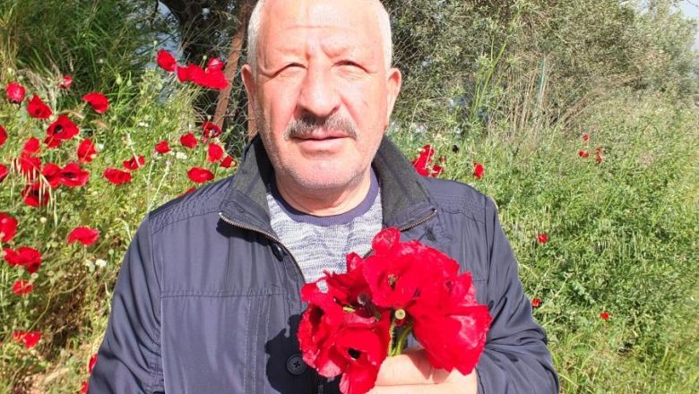 Burhaniye'de Kırlar Baharla Canlandı