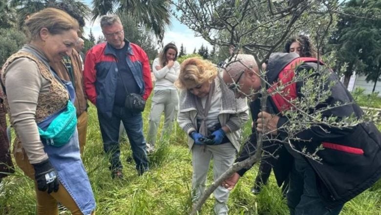 Edremit MYO’da Zeytinde Aşılama Eğitimi Düzenlendi