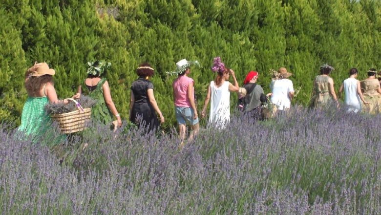 Balıkesir Lavanta Festivali Ne Zaman?