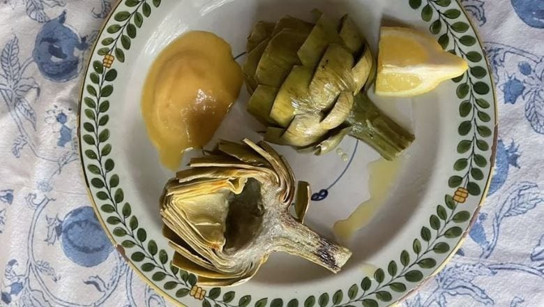 İspanyol Enginarı Balıkesir'de Yetişiyor