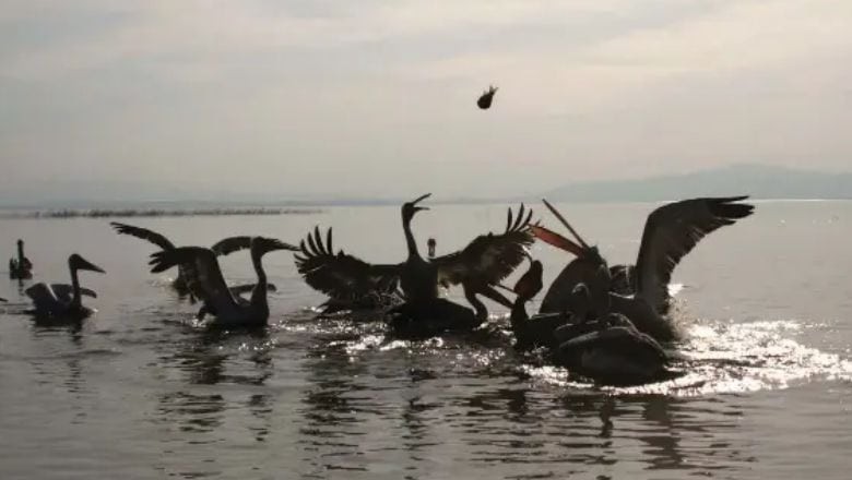 Balıkesir’de Böyle Bir Köy Olduğunu Biliyor Muydunuz?