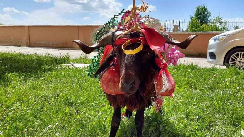 Balıkesir'de 'Gelin Koçu' Geleneği