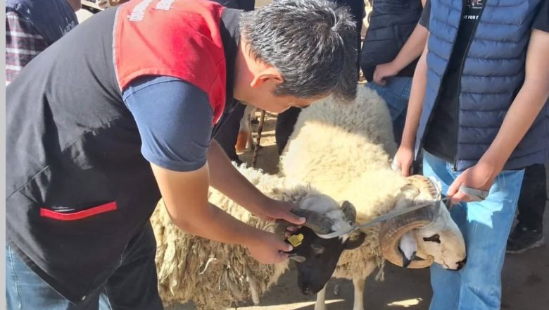  Havran’da Kurban Pazarı Denetimleri Sürüyor