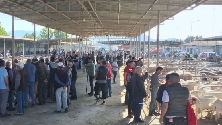  Havran’da Kurban Pazarı Denetimleri Sürüyor