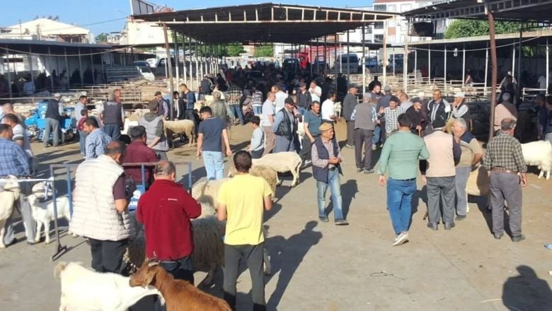  Havran’da Kurban Pazarı Denetimleri Sürüyor