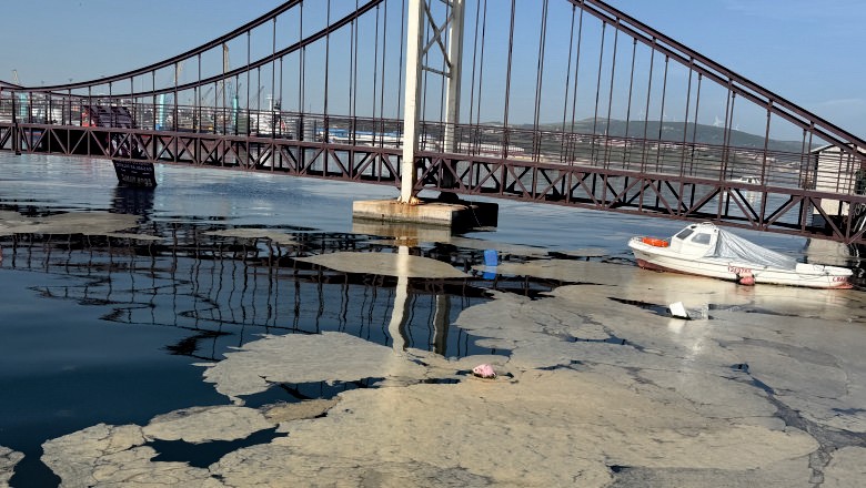 Müsilaj Geri Döndü: Marmara Yine Alarm Veriyor!