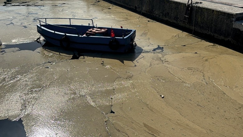 Müsilaj Geri Döndü: Marmara Yine Alarm Veriyor!
