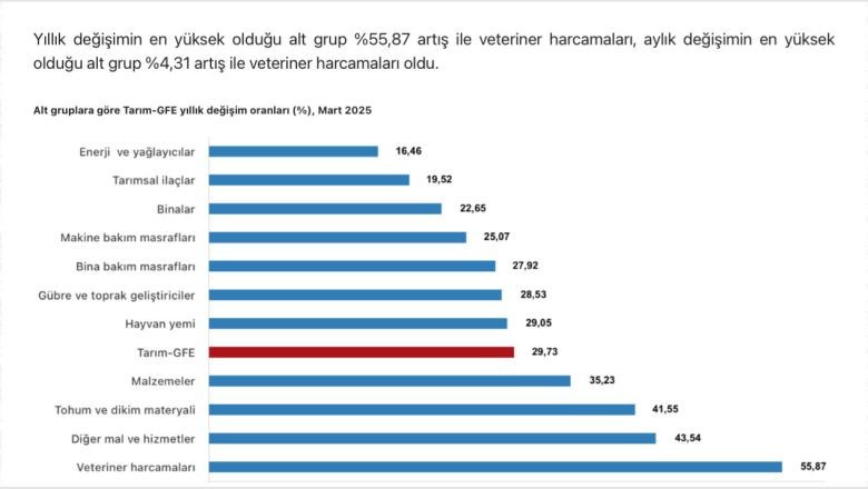 Tarımsal girdi fiyat endeksi (Tarım-GFE) yıllık %29,73 arttı, aylık %1,80 arttı