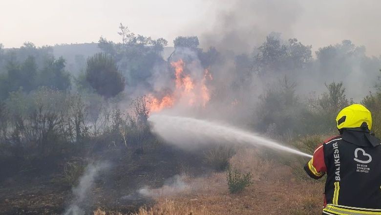 Balıkesir'de Yangın Alarmı: Bir Haftada 14 Olay