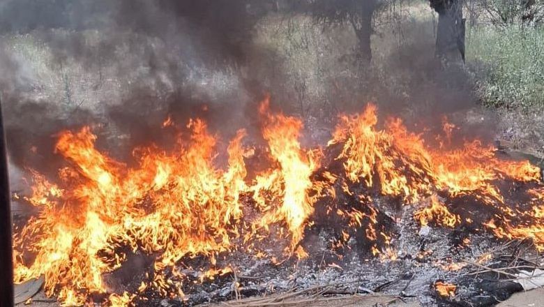  Balıkesir'de Yangın Alarmı: Bir Haftada 14 Olay 