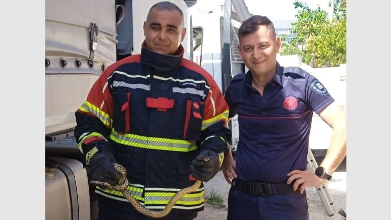 Edremit’te Tırın İçinden Yılan Çıktı!