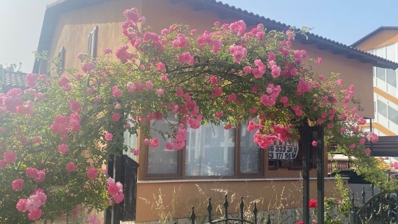 Balıkesir’de Her Köşe Çiçek! Baharın Renkleri Sokaklara Yansıdı