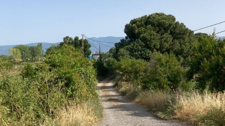 Balıkesir Otoyolu Kenarında Renkli Mucize!