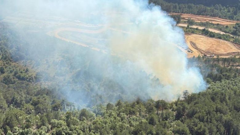 Alevler, Cezalar ve Uyarılar: Balıkesir’in Gündemi Yangın Gibi!
