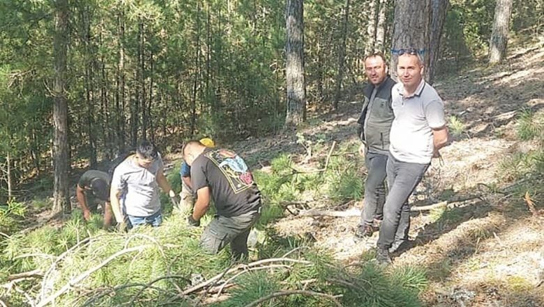 Balıkesir Ormanlarında Umut Veren Gelişme