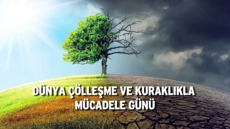 17 Haziran Dünya Çölleşme ve Kuraklıkla Mücadele Günü