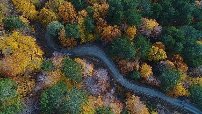Balıkesir'de Yüksek Yangın Riski Taşıyan Bölgeler