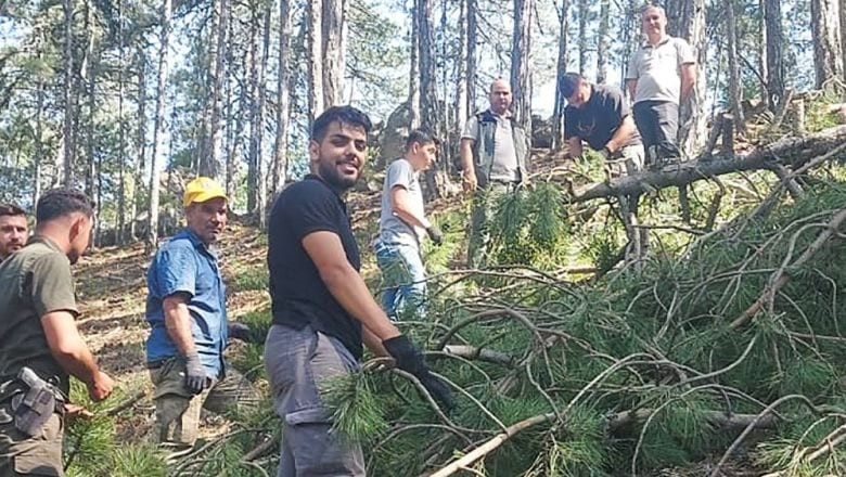 Balıkesir Ormanlarında Umut Veren Gelişme