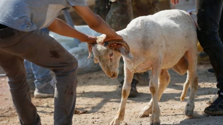 Kurban Bayramının İlk Günü Nasıl Geçer?