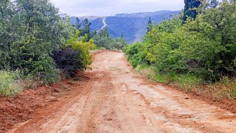 Balıkesir Ormanları İçin Hayati Müdahale