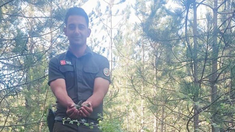 Balıkesir Ormanlarında Umut Veren Gelişme