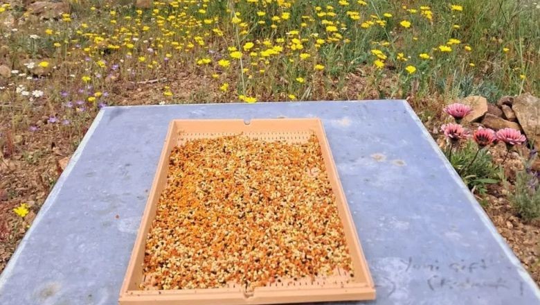 Kazdağları’ndan Doğal Ürünlere Yolculuk