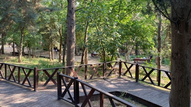Etlerini Alan Değirmen Boğazı’na Gidiyor