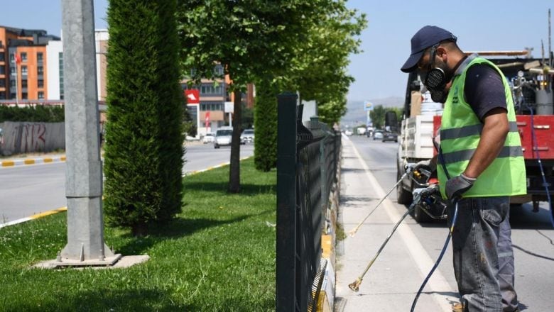 Büyükşehir’den Refüjlere Estetik Dokunuş 