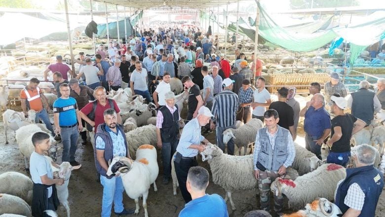  Havran Hayvan Pazarı’nda Bayram Arefesi Yoğunluğu