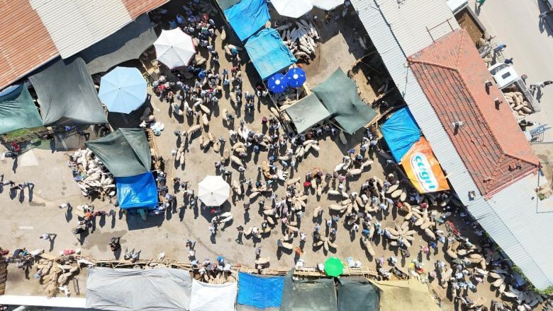  Havran Hayvan Pazarı’nda Bayram Arefesi Yoğunluğu