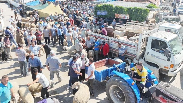  Havran Hayvan Pazarı’nda Bayram Arefesi Yoğunluğu