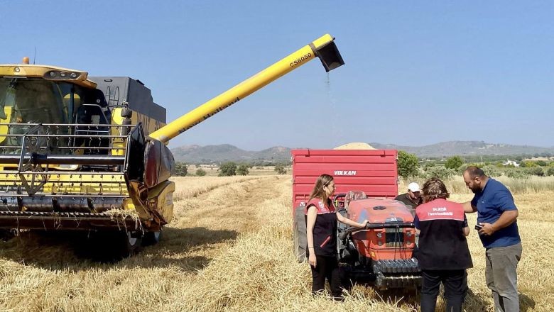 Balıkesir’de Hububat Hasadı Başladı