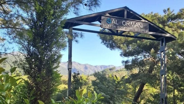 Kazdağları’ndan Doğal Ürünlere Yolculuk