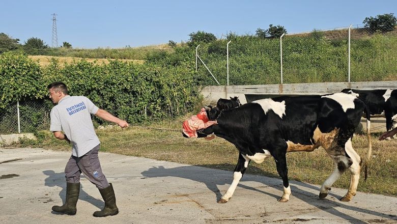 Başkan Lapanta Mezbahayı Ziyaret Etti